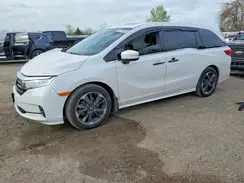 5FNRL6H83RB501264 2024 HONDA ODYSSEY