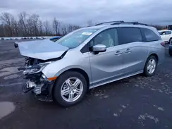 5FNRL6H83SB010666 2025 HONDA ODYSSEY