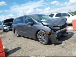 5FNRL6H83SB023692 2025 HONDA ODYSSEY