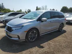 5FNRL6H84NB504829 2022 HONDA ODYSSEY