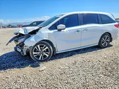 5FNRL6H84PB005659 2023 HONDA ODYSSEY