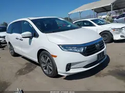 5FNRL6H84PB050407 2023 HONDA ODYSSEY