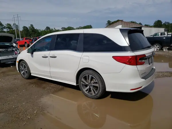 5FNRL6H84RB024909 2024 HONDA ODYSSEY - Image 2