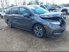 5FNRL6H84RB037305 2024 HONDA ODYSSEY