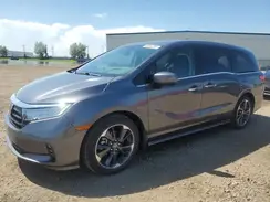5FNRL6H84RB503296 2024 HONDA ODYSSEY