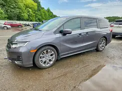 5FNRL6H84SB024351 2025 HONDA ODYSSEY