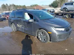 5FNRL6H84SB048519 2025 HONDA ODYSSEY