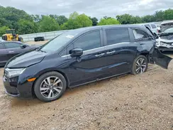 5FNRL6H85MB041551 2021 HONDA ODYSSEY