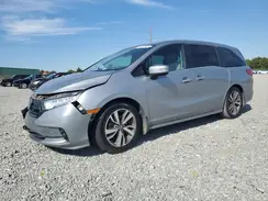 5FNRL6H85NB021396 2022 HONDA ODYSSEY