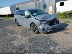 5FNRL6H85PB503501 2023 HONDA ODYSSEY
