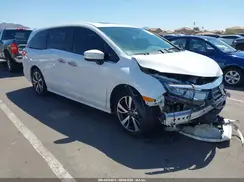 5FNRL6H85RB000411 2024 HONDA ODYSSEY