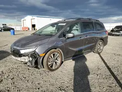 5FNRL6H85RB018455 2024 HONDA ODYSSEY