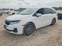 5FNRL6H85TB005969 2026 HONDA ODYSSEY