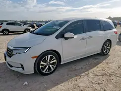 5FNRL6H86NB050325 2022 HONDA ODYSSEY