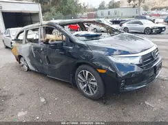 5FNRL6H86RB001020 2024 HONDA ODYSSEY