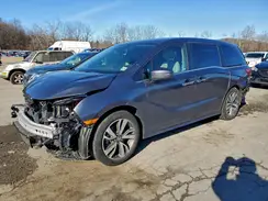 5FNRL6H86RB023194 2024 HONDA ODYSSEY