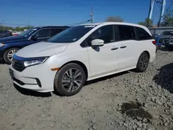 5FNRL6H86RB024278 2024 HONDA ODYSSEY