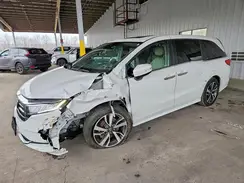 5FNRL6H86RB038228 2024 HONDA ODYSSEY