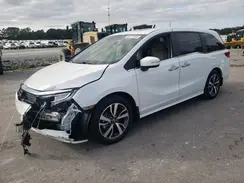 5FNRL6H86RB045776 2024 HONDA ODYSSEY