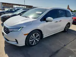 5FNRL6H86RB052517 2024 HONDA ODYSSEY