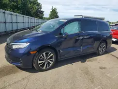 5FNRL6H86RB058446 2024 HONDA ODYSSEY