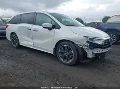 5FNRL6H86RB501498 2024 HONDA ODYSSEY
