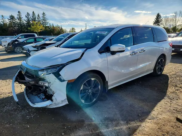 5FNRL6H86RB502750 2024 HONDA ODYSSEY - Image 1