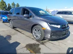 5FNRL6H86TB015099 2026 HONDA ODYSSEY