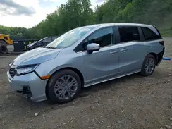 5FNRL6H86TB031982 2026 HONDA ODYSSEY