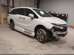 5FNRL6H87NB024851 2022 HONDA ODYSSEY