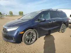 5FNRL6H87NB503612 2022 HONDA ODYSSEY