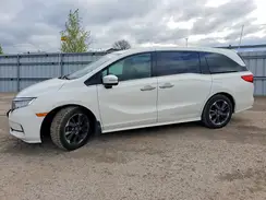 5FNRL6H87NB504713 2022 HONDA ODYSSEY
