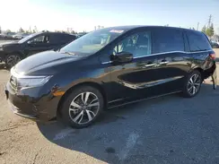 5FNRL6H87RB013175 2024 HONDA ODYSSEY