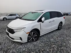 5FNRL6H87RB028405 2024 HONDA ODYSSEY