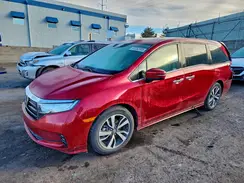 5FNRL6H87RB029781 2024 HONDA ODYSSEY