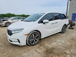 5FNRL6H87RB031207 2024 HONDA ODYSSEY