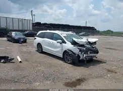 5FNRL6H87SB001310 2025 HONDA ODYSSEY