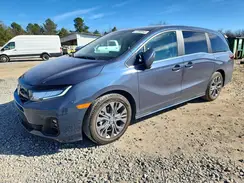 5FNRL6H87SB009231 2025 HONDA ODYSSEY