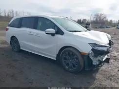 5FNRL6H87SB012646 2025 HONDA ODYSSEY