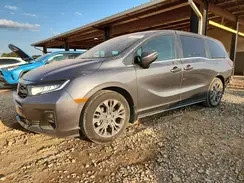 5FNRL6H87SB038521 2025 HONDA ODYSSEY