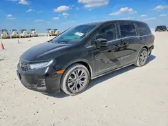 5FNRL6H87TB036494 2026 HONDA ODYSSEY
