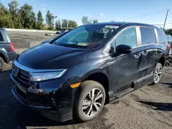 5FNRL6H88NB067031 2022 HONDA ODYSSEY