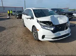 5FNRL6H88PB036039 2023 HONDA ODYSSEY