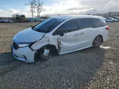 5FNRL6H88PB066559 2023 HONDA ODYSSEY