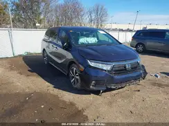 5FNRL6H88RB044161 2024 HONDA ODYSSEY