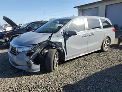 5FNRL6H88RB072638 2024 HONDA ODYSSEY