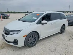 5FNRL6H88SB001798 2025 HONDA ODYSSEY