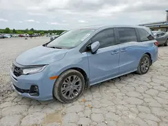 5FNRL6H88SB044327 2025 HONDA ODYSSEY