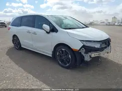 5FNRL6H89NB501179 2022 HONDA ODYSSEY