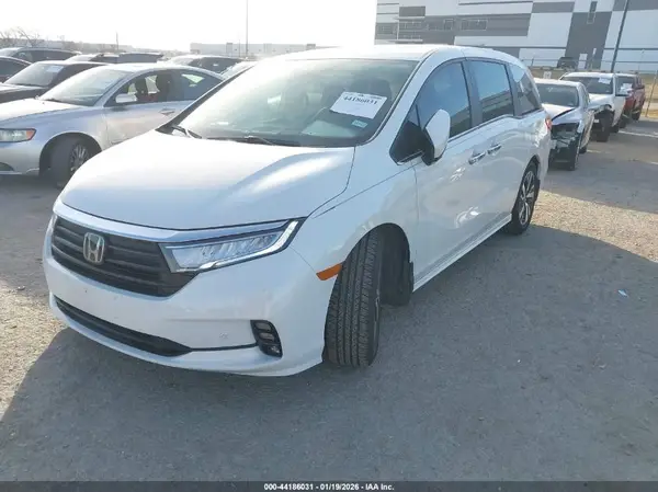 5FNRL6H89PB016494 2023 HONDA ODYSSEY - Image 2
